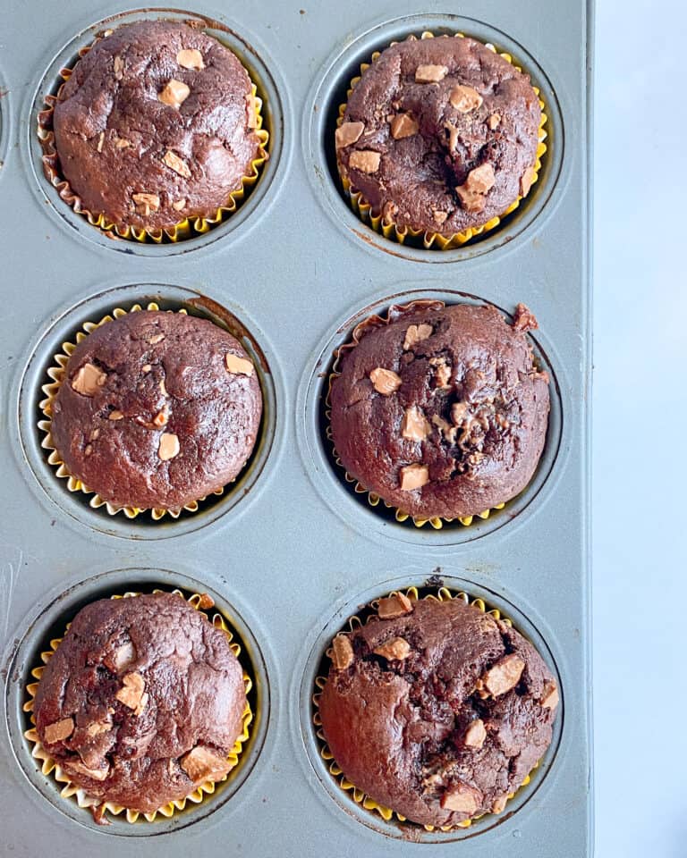 The best Low Calorie chocolate muffins Weight Loss With Veera