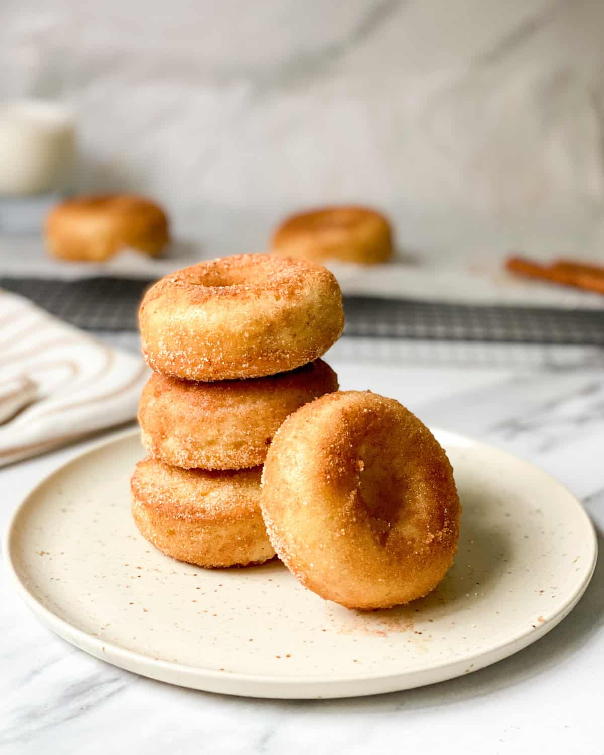 low calorie cinnamon sugar donuts