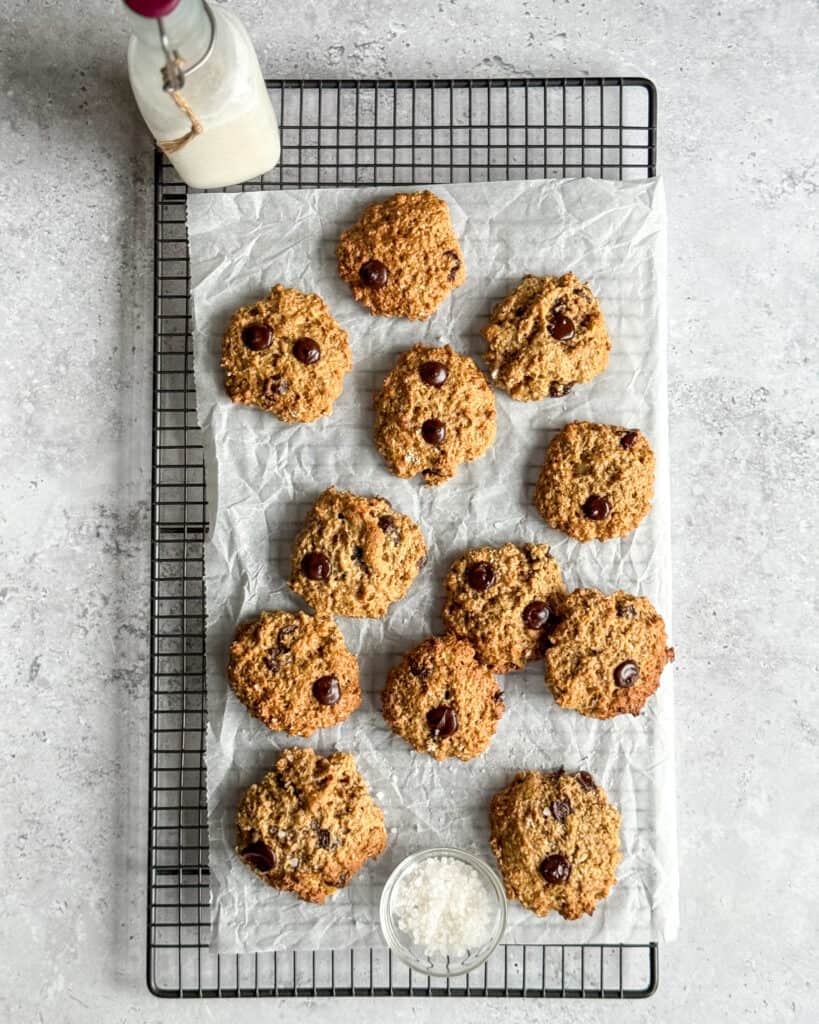 low calorie chocolate chip oatmeal cookies