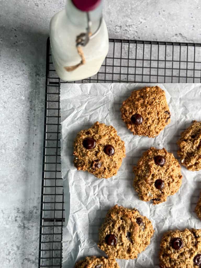 low calorie chocolate chip oatmeal cookies