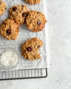 low calorie chocolate chip oatmeal cookies