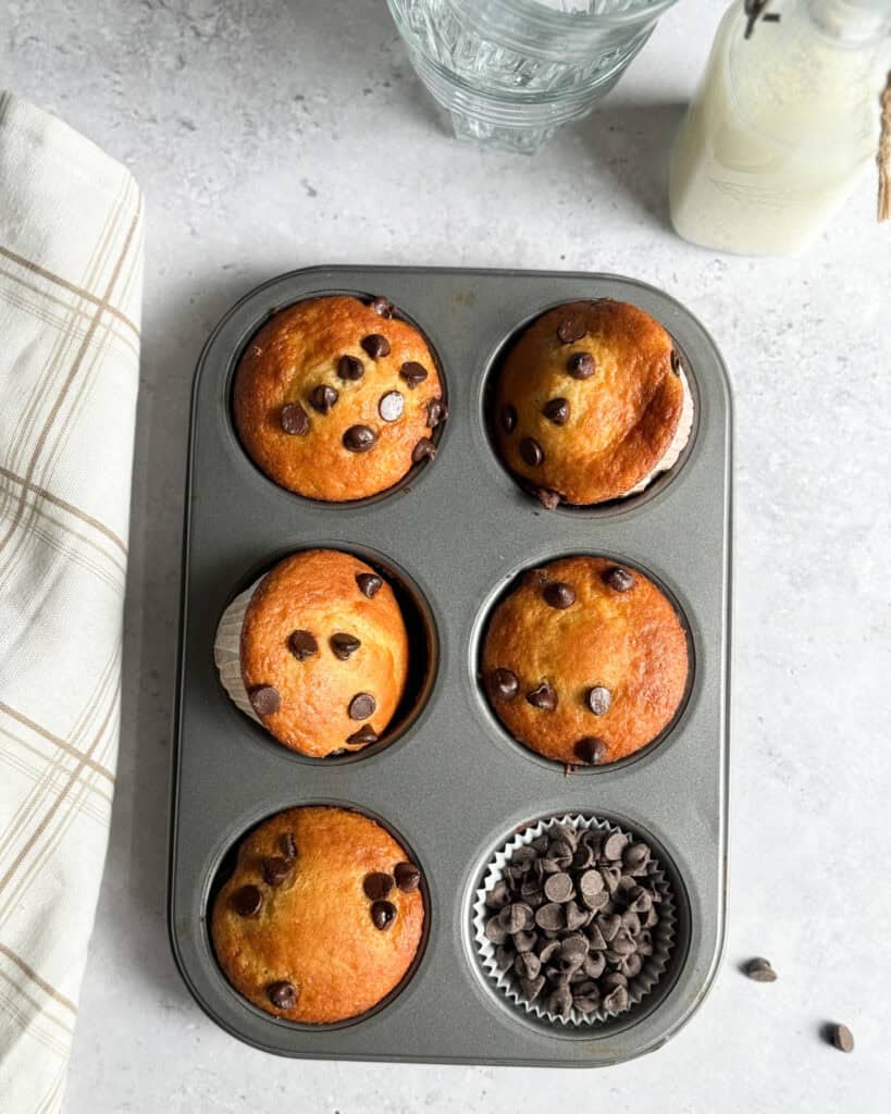 low calorie chocolate chip muffins