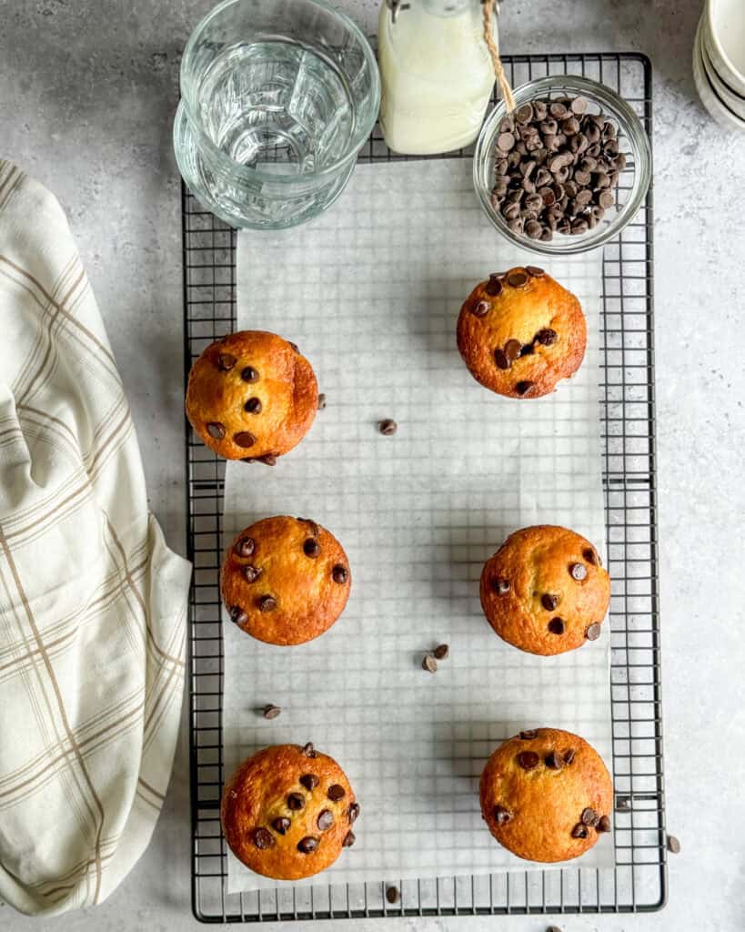 low calorie chocolate chip muffins