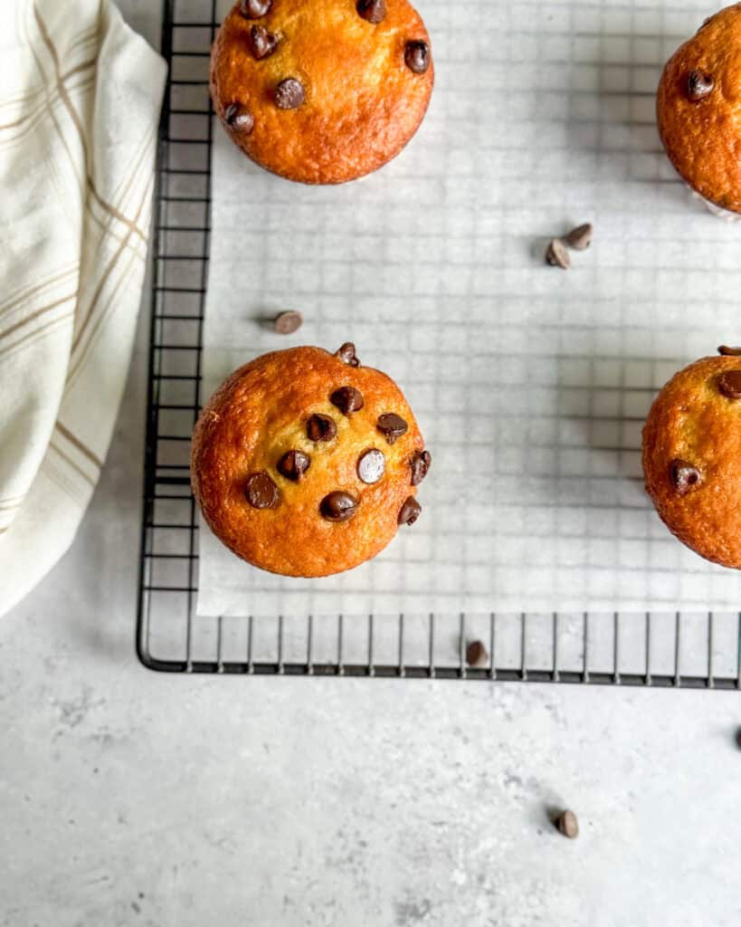 low calorie chocolate chip muffins