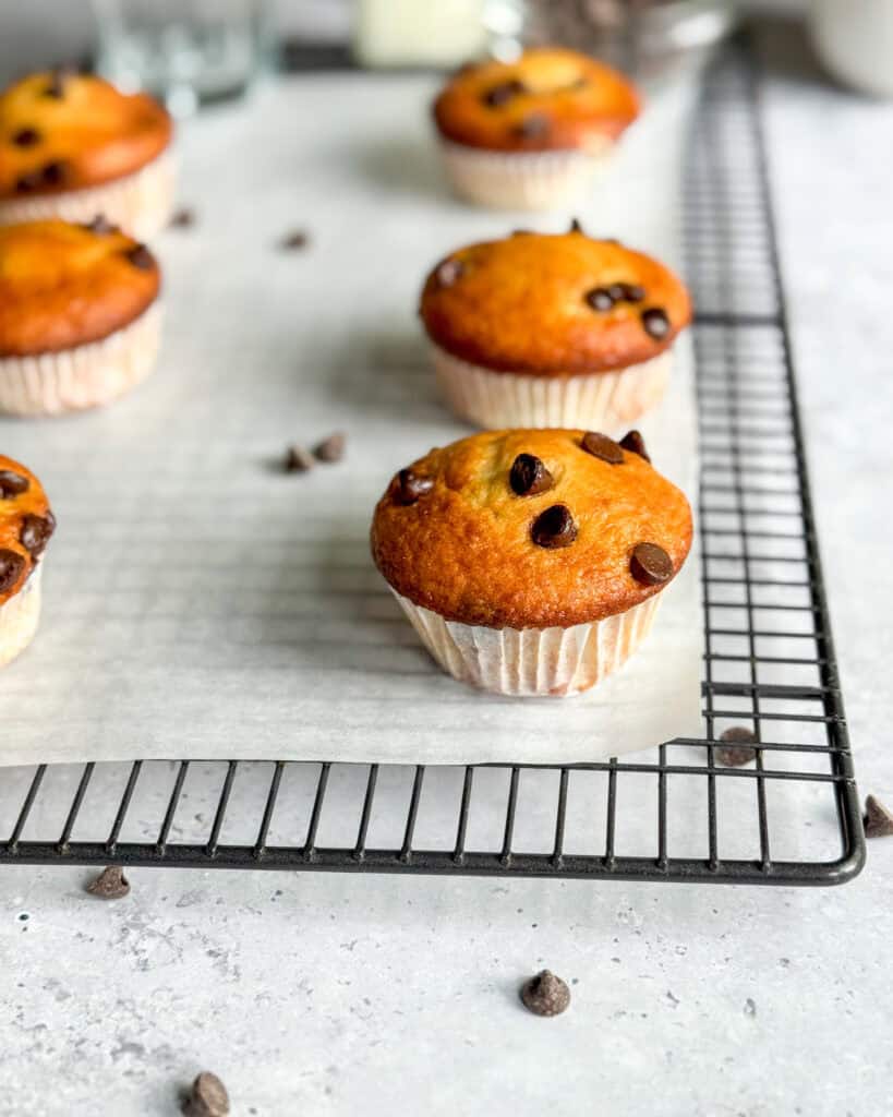 low calorie chocolate chip muffins