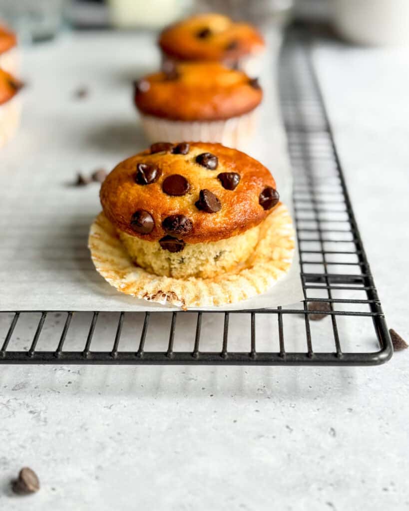 low calorie chocolate chip muffins