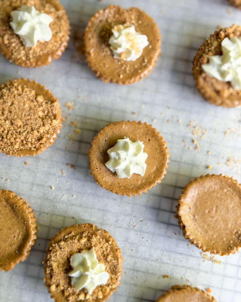 low calorie mini gingerbread cheesecakes