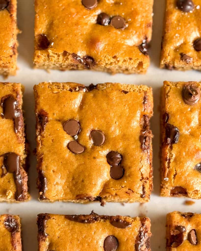 low calorie chocolate chip blondies