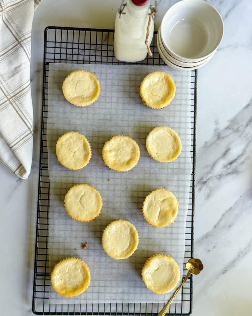 low calorie mini New York cheesecakes