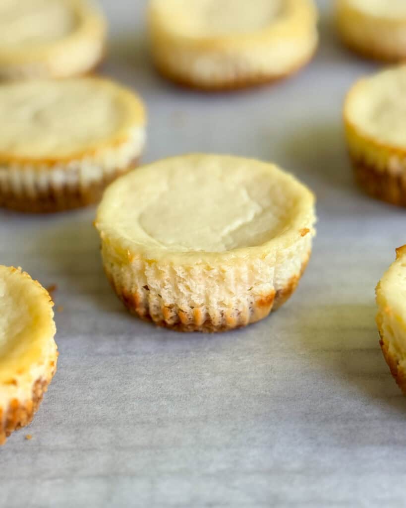 low calorie mini New York cheesecakes